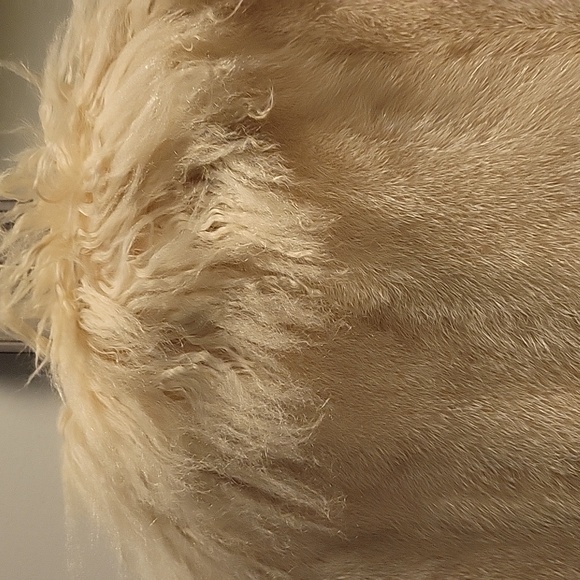 Alpaca fur vest leather lining size 10 - Picture 8 of 8